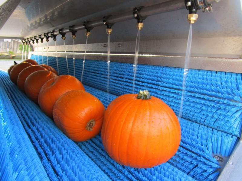 Waschmaschine für Kürbise