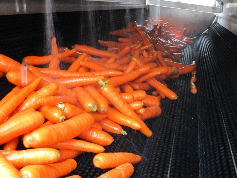 Poliermaschine für Gemüse