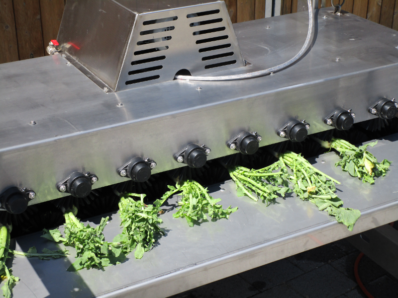 Rettichwaschmaschine