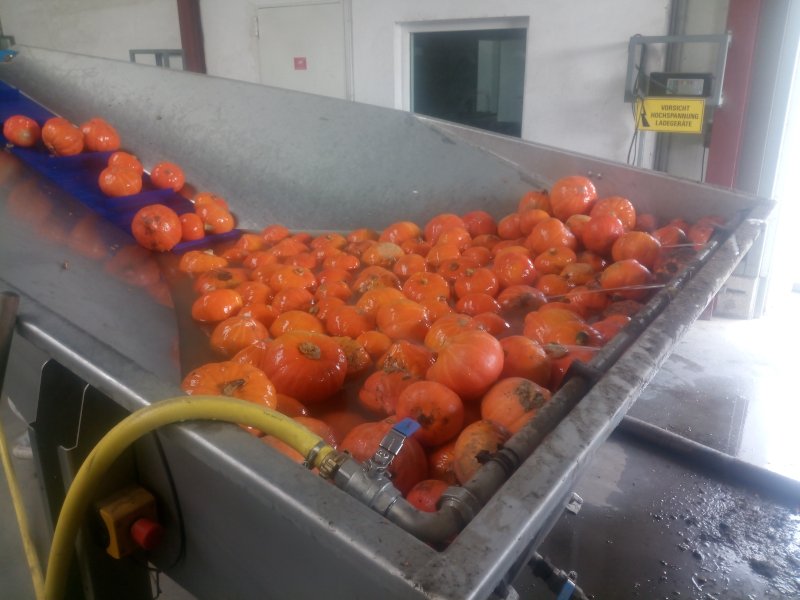 Schwimmtricher Tauchbecken