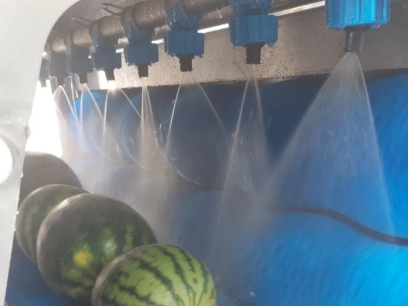 Kleine Kürbiswaschmaschine